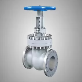 What Is API 6D Standard?